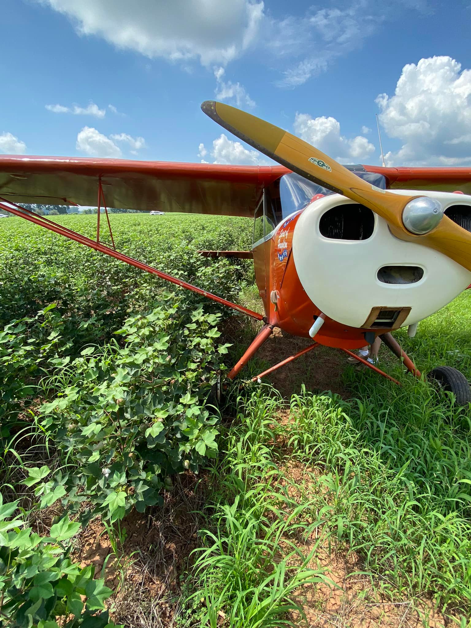 AVIONETA A PUNTO DE ESTRELLARSE EN CADDO
